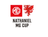 Welsh League Cup
