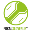 Slovenian Cup