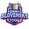 Slovak Cup 