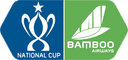 Vietnamese Cup 