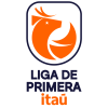 Primera Division