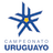 Liga AUF Uruguaya