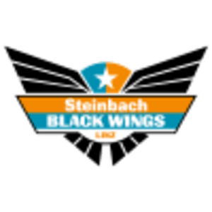 Black Wings  Linz