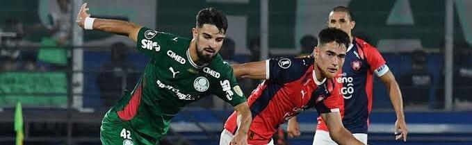 Palmeiras - Cerro Porteno