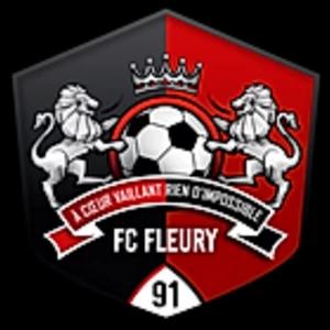 Fleury 91 